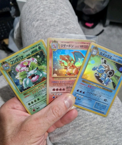 Charizard venusuar - charizard,, &
