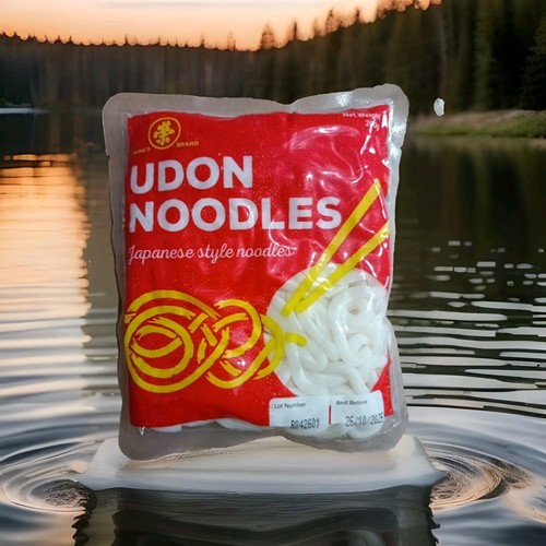 Fresh japanese udon style - fresh,